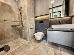 Irwell Hill Residences (D9), Apartment #554395091